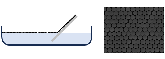 Interfacial assembly