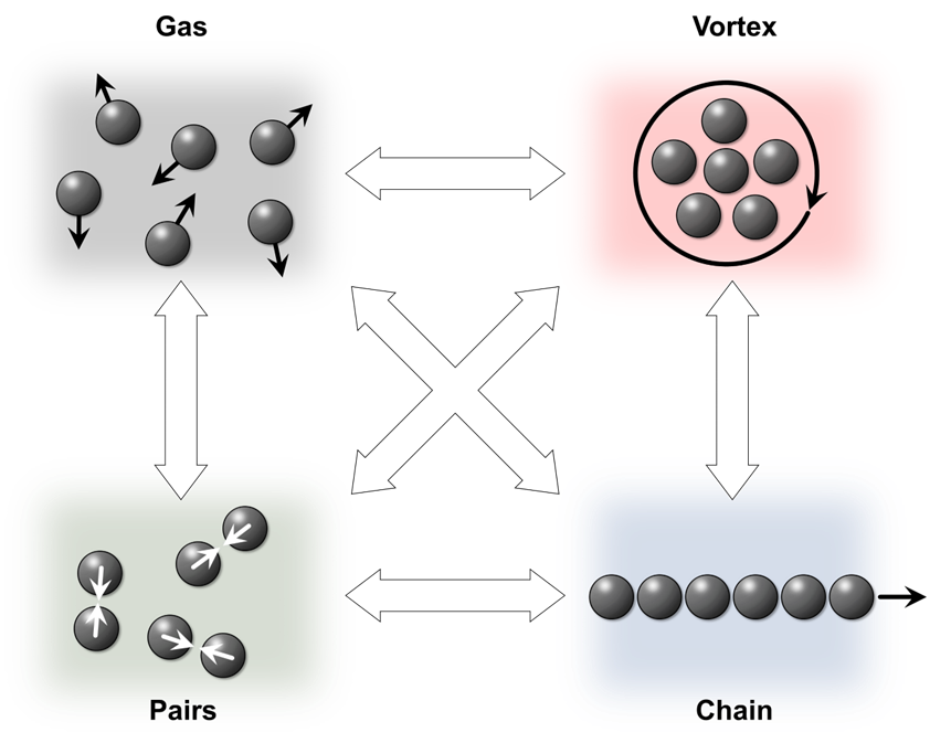 Gas, vortex, pairs and chain states, each reachable from the others