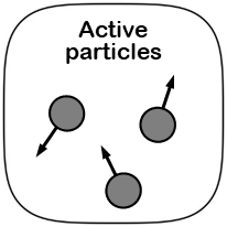 Active particles