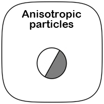 Anisotropic particles