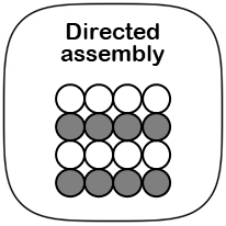 Directed assembly